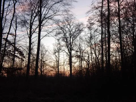 DSCN7086 Stock Photos