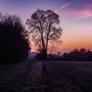 DSCN7092 Stock Photos