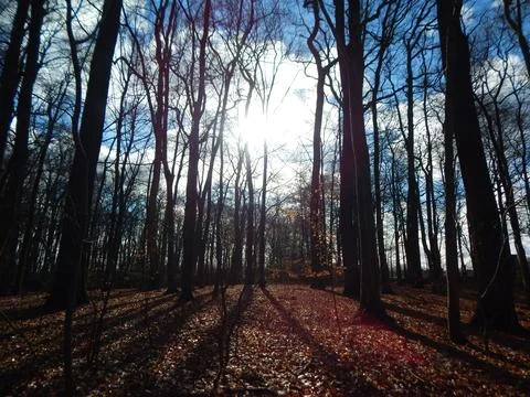 DSCN7123 Stock Photos