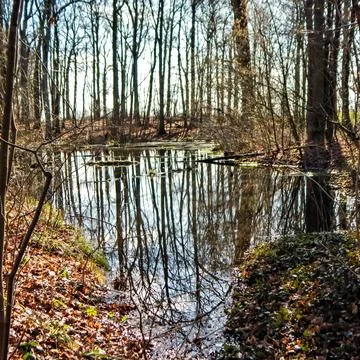 DSCN7148 Stock Photos