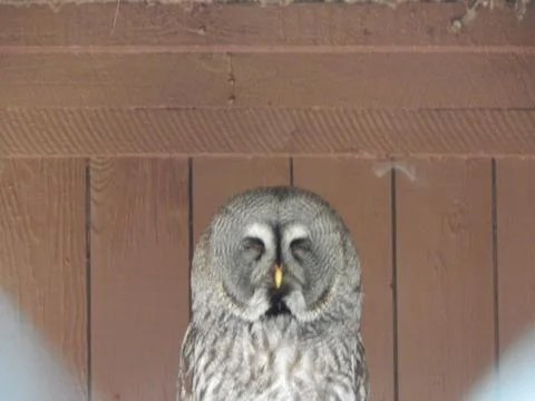 DSCN7299 Stock Photos