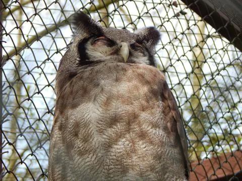 DSCN7320 Stock Photos