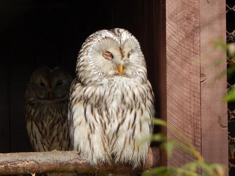 DSCN7330 Stock Photos