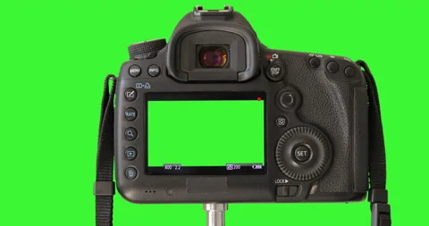 DSLD camera isolated on keyed green screen recording video. Professional gear Video stock 136559007