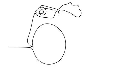 DSLR camera digital vector with one continuous single line drawing. Minimal art  Stock Footage 144036711