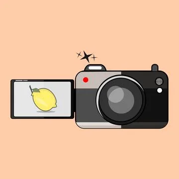 Dslr camera Stock Illustration