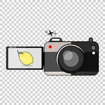 Dslr camera Stock Illustration