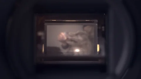 Dslr Camera Mirror And Shutter in Slow motion 動画素材 117315998