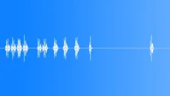 DSLR Camera shutter soundSound Effect