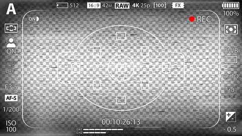 DSLR mirrorless camera rec overlay. Recorder cam display frame. Video or photo イラスト素材