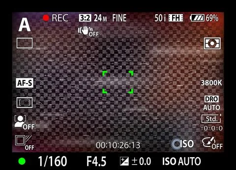 DSLR mirrorless camera rec overlay. Recorder cam display frame. Video or photo Ilustración de archivo