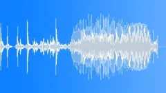 DSLR shutter Sound Effect