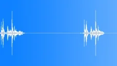 DSLR Shutter - two itemsSound Effect
