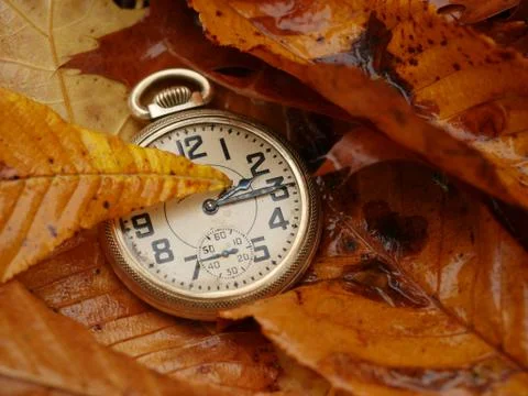 Dst autumn Stock Photos