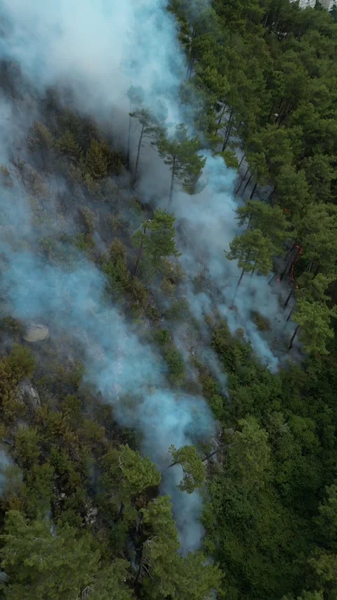 Dth Stock Footage 292888459