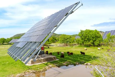 Dual Axis Solar Panel Tracker with Sheep in Greece Фото