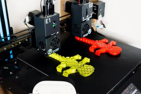 Dual extruder 3d printer which is printing two bicolor model, idex technology 스톡 사진