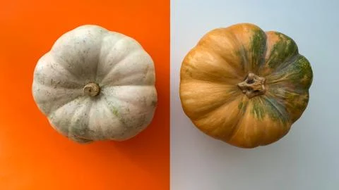 Dual flat lay concept with white pumpkins on orange and white background Stock Photos