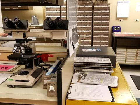 Dual Headed Microscope in Pathology Laboratory w Slide Cabinets Stock Photos