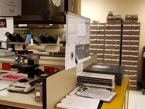Dual Headed Microscope in Pathology Laboratory w Slide Cabinets Foto stock