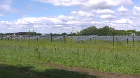 Dual land use. Construction phase of a solar park in a pasture Stock Footage 130563226