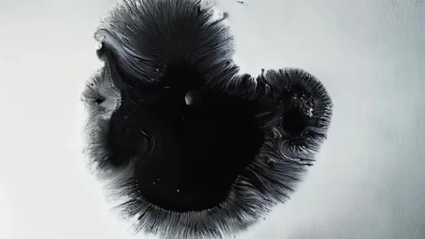 Dual-lobed ink bloom forms soft organic shape with dark core Stock Footage 308731093