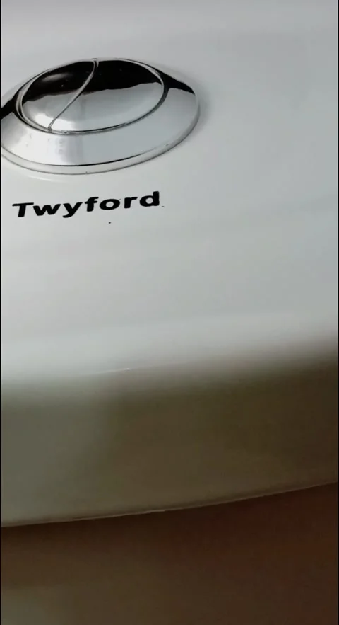 Dual silver push button on white Twyford water closet. Stock Footage 313772427