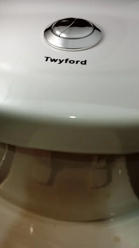 Dual silver push button on white Twyford water closet. Stock Footage 314756668