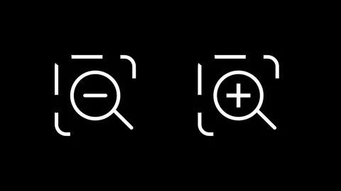 Dual Zoom Control Icon Stock Footage 335592149