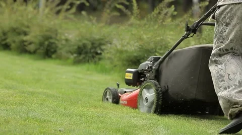 Dub the lawn. Mower. Stock Footage 58520276