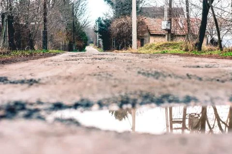 Dub reflection Stock Photos