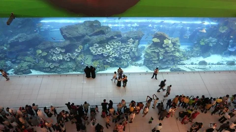 Dubai Aquarium High Angle Stock Footage 89500066