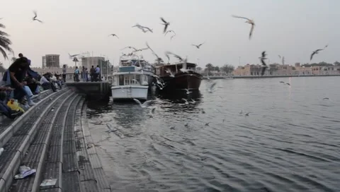 Dubai Creek In The Evening Stock Footage 1100484