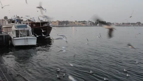 Dubai Creek In The Evening Stock Footage 1100512