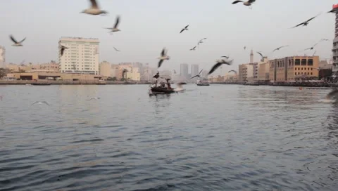 Dubai Creek In The Evening Video stock 1100541