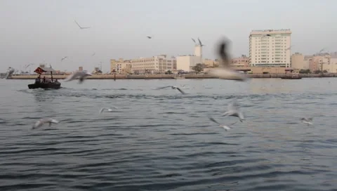 Dubai Creek In The Evening Stock-Footage 1100542