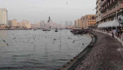 Dubai Creek In The Evening Stock Footage 1100612