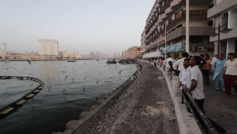 Dubai Creek In The Evening Stock-Footage 1100623