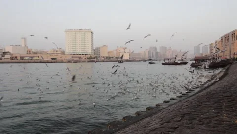 Dubai Creek In The Evening Stock Footage 1100660