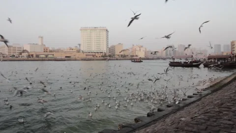 Dubai Creek In The Evening Stock Footage 1100707