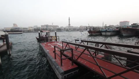 Dubai Creek In The Evening Video stock 1101101