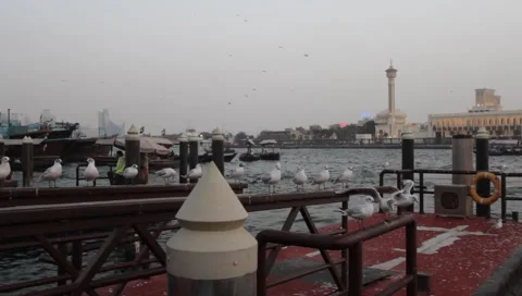 Dubai Creek In The Evening Stock Footage 1101137