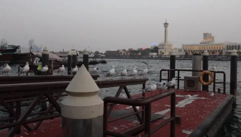 Dubai Creek In The Evening Stock Footage 1101155
