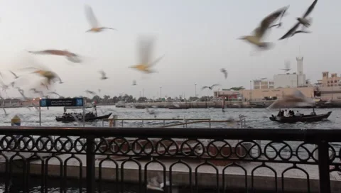 Dubai Creek In The Evening Stock Footage 1675281