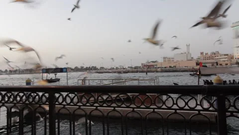 Dubai Creek In The Evening Stock Footage 1677555
