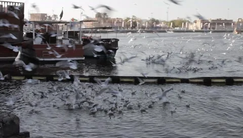 Dubai Creek Stock Footage 1117668