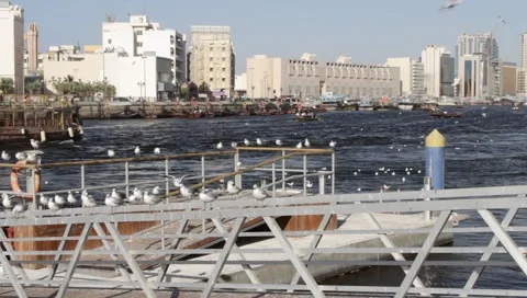 Dubai Creek Stock Footage 1117685