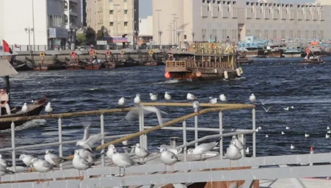 Dubai Creek Stock Footage 1117695