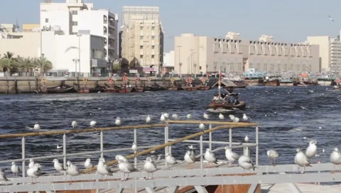 Dubai Creek Stock Footage 1117756