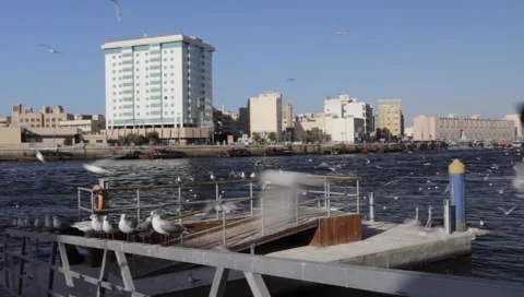Dubai Creek Stock Footage 1117971